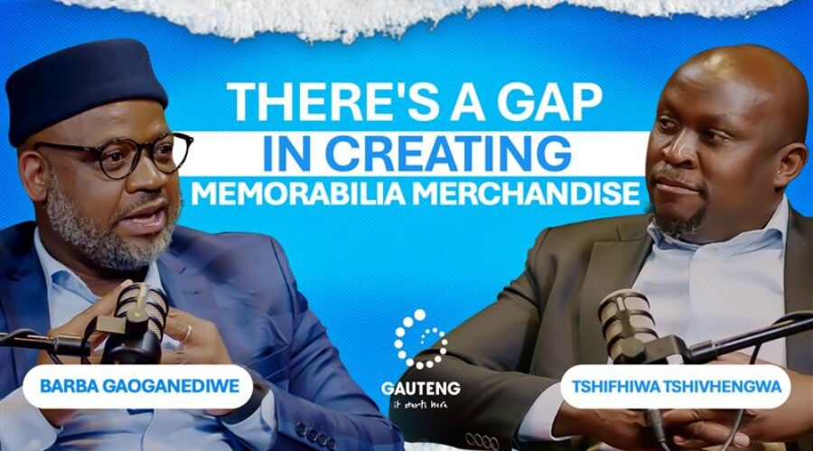 Gaps & Opportunities in Gauteng